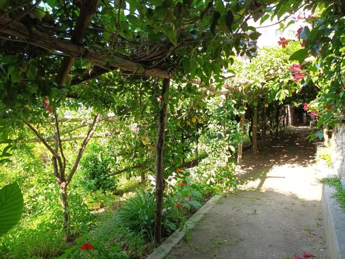 Casa Emi Διαμέρισμα Αμάλφι Εξωτερικό φωτογραφία