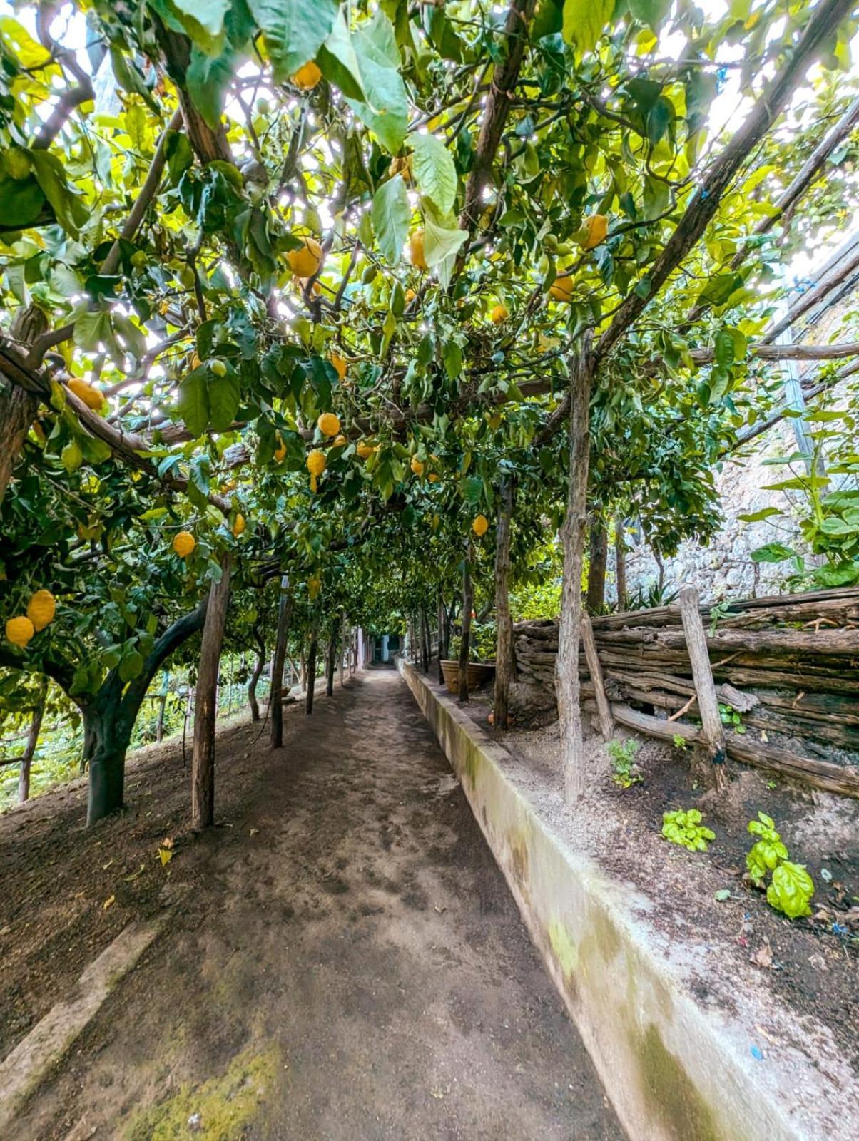 Casa Emi Διαμέρισμα Αμάλφι Εξωτερικό φωτογραφία